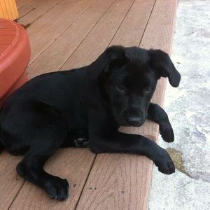 Meet your Posher, Kelsey